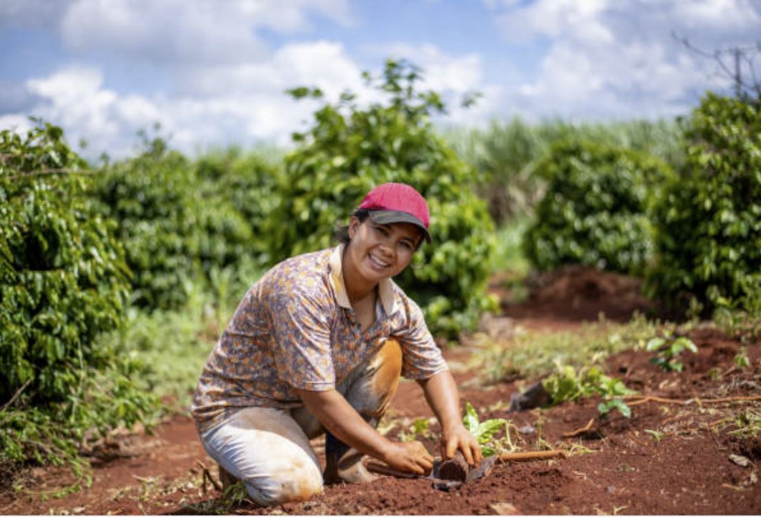 O COFFEE's Sarah talks about growing coffee